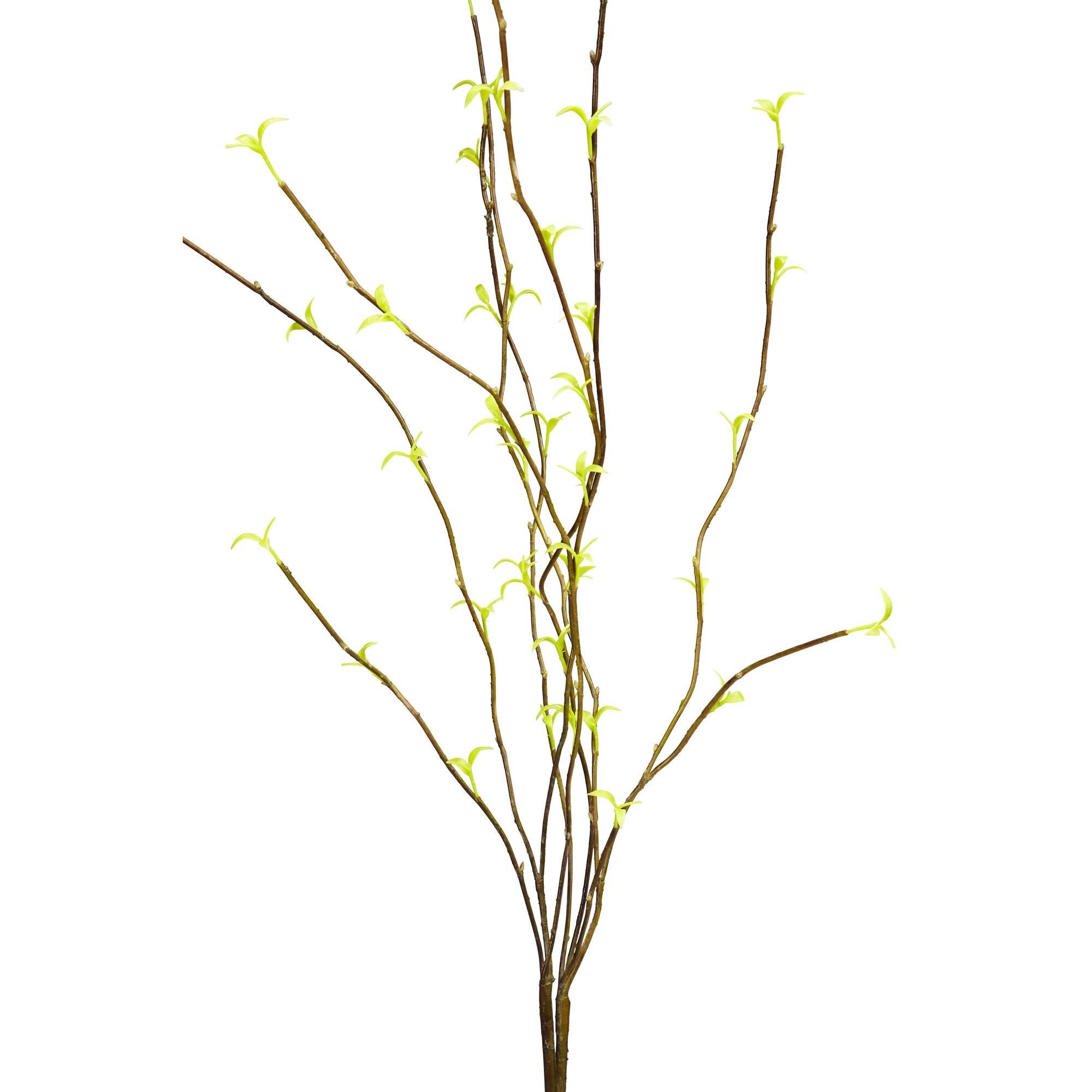 Yellow Willow Branch, 6ct.
